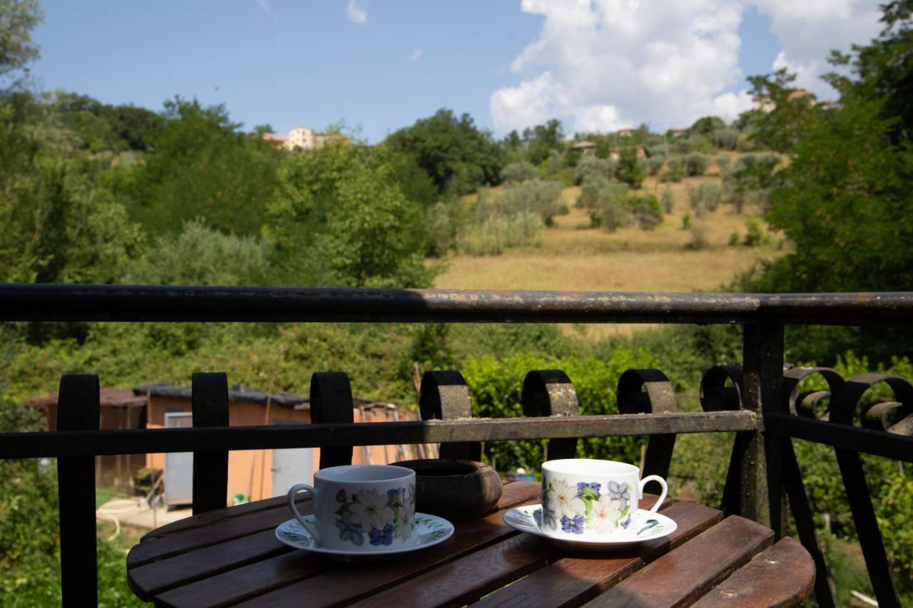 B&B Villa Il Noce Picinisco Εξωτερικό φωτογραφία
