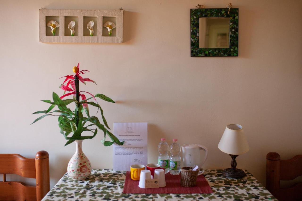 B&B Villa Il Noce Picinisco Εξωτερικό φωτογραφία